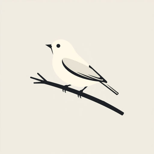 Tomtit Nz Native Bird