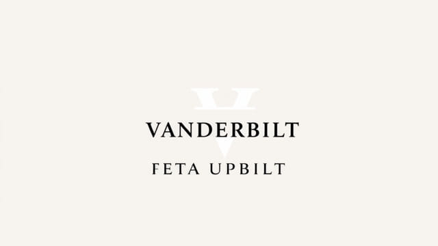 Vanderbilt Beta Upsilon Chi