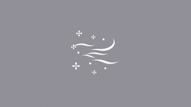 What Does Flurry Mean