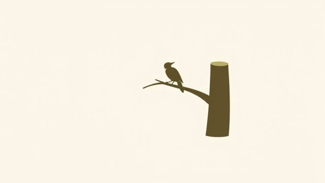 Where Is Sapsucker Woods