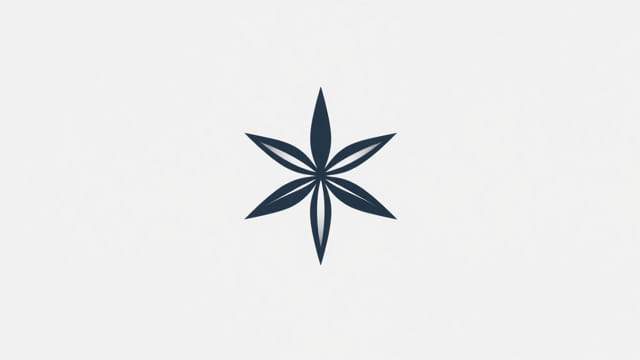 X Start Letter Words