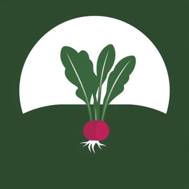 Quick Turnip Greens Recipe