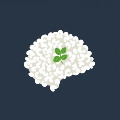 Recipe For Flavorful White Rice