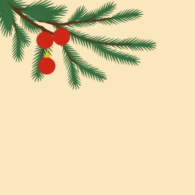 The Christmas Holiday Phillipa Ashley