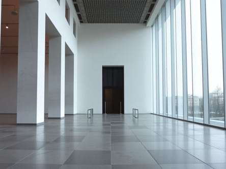 The Reina Sofia Museum