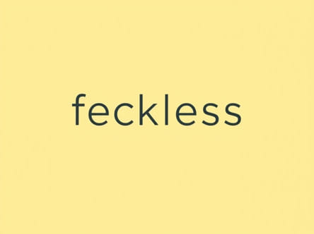 Use The Word Feckless In A Sentence