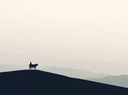 Does David Attenborough Still Narrate