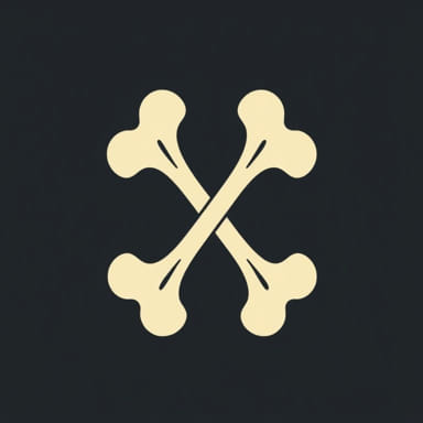 Histology Of Spongy Bone