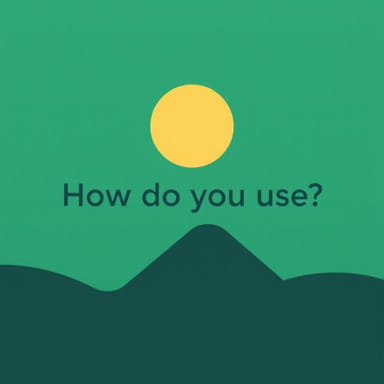 How Do You Use Excellency