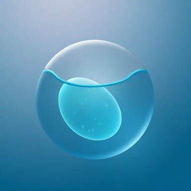 Increase Amniotic Fluid In Pregnancy