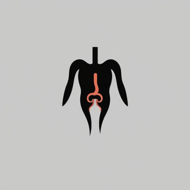 Is A Ruptured Hemorrhoid Dangerous