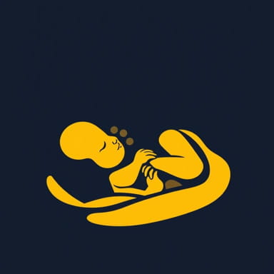 Jaundice In Premature Babies