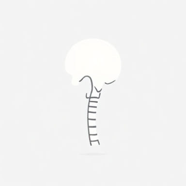 Jaw Bone Joint Deterioration