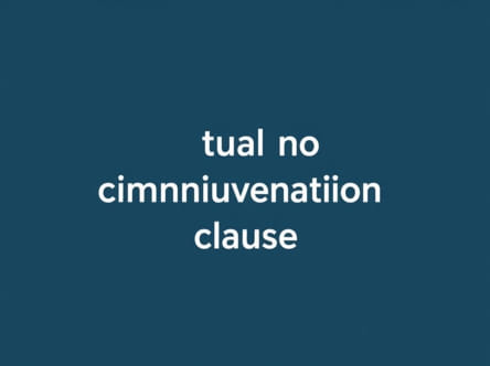 Mutual Non Circumvention Clause