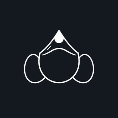 N95 For Droplet Precautions