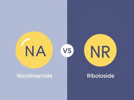 Nicotinamide Adenine Dinucleotide Vs Nicotinamide Riboside