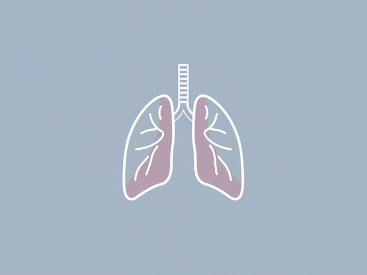 Nm Lung Ventilation Perfusion
