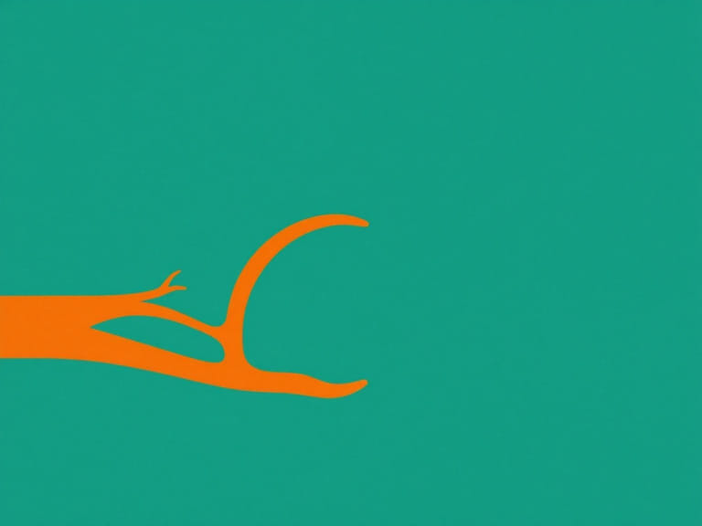 Oculomotor Nerve Pupil Constriction