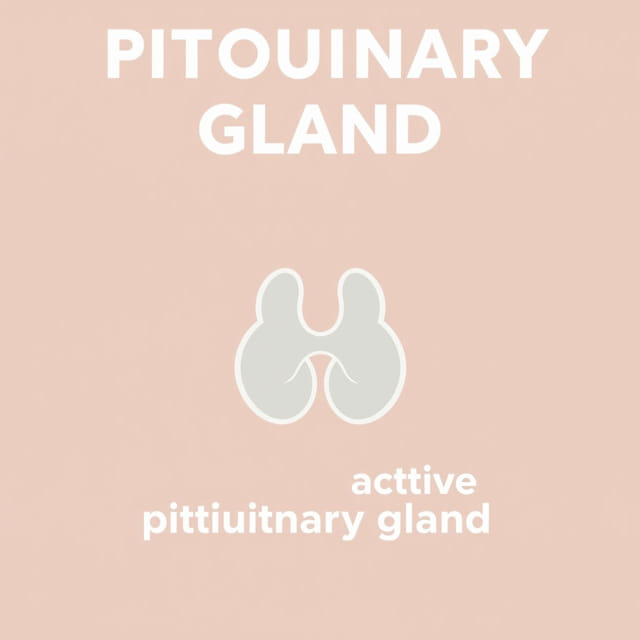 Overactive Pituitary Gland Symptoms