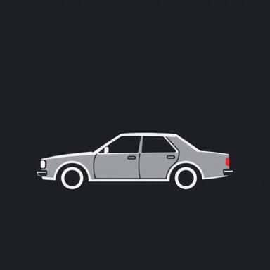 Pago De Control Vehicular Puebla 2024