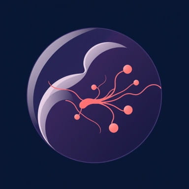 Pathophysiology Of Amniotic Fluid Embolism