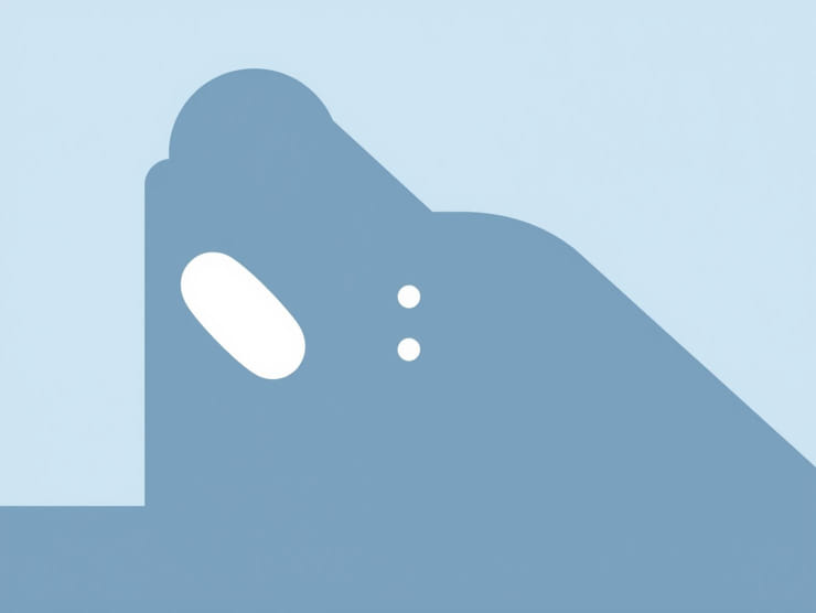 Pregnant After Period Possible