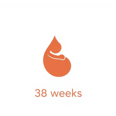 Reduced Fetal Movement 38 Weeks