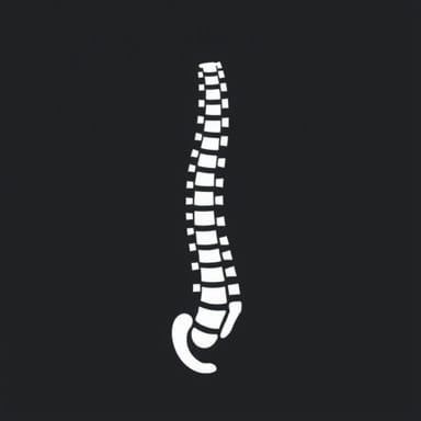 Spondylolisthesis Vs Slipped Disc