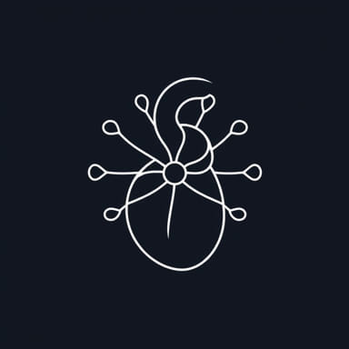 Treatment Of Intramural Fibroid