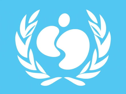 Unicef Or The Red Cross Briefly