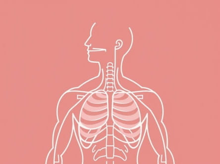 Use Of Accessory Muscles For Breathing Indicates
