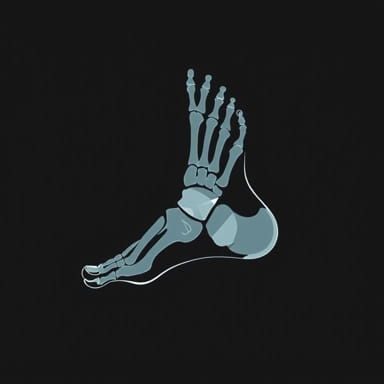 Xray Of Right Foot