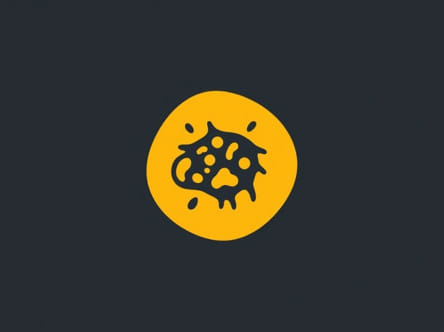 Yellow Granulation Tissue Wound