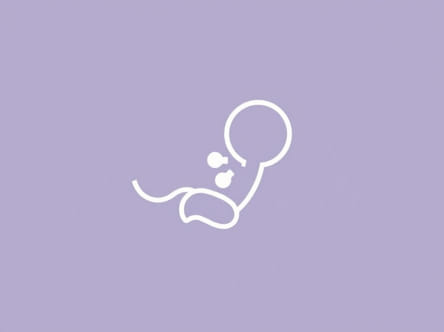 Zofran Fetal Side Effects