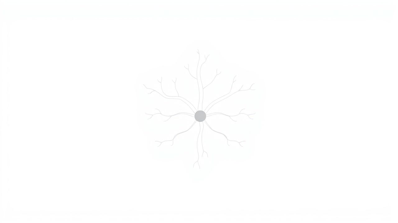 Branches Of Cranial Nerve 5