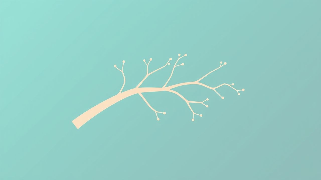 Branches Of Ulnar Artery