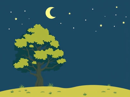 Enid Blyton Faraway Tree Order