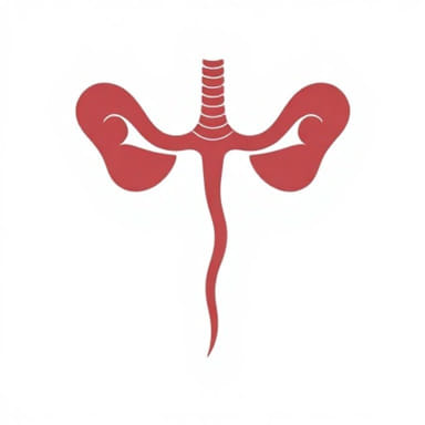 Icd 10 Bulbar Urethral Stricture