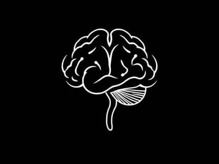 Porn Effect On Brain