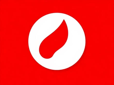 Should I Be Worried About High Protein In Blood