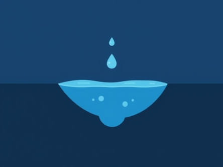 Surface Water Becomes Groundwater When It