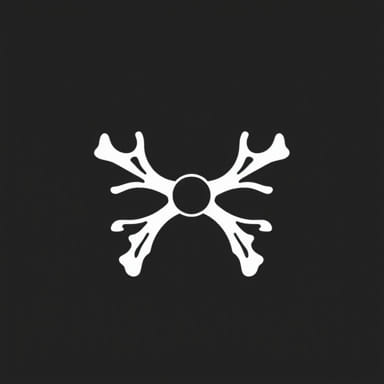 Test For Bone Marrow