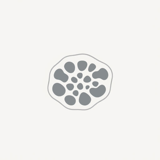 Trabeculae Of Spongy Bone