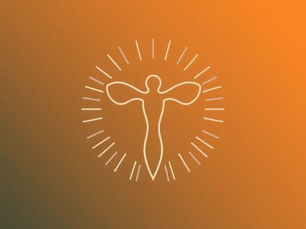 Uricotelism Is Advantageous To