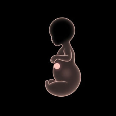 What Is Amniotic Fluid Embolism