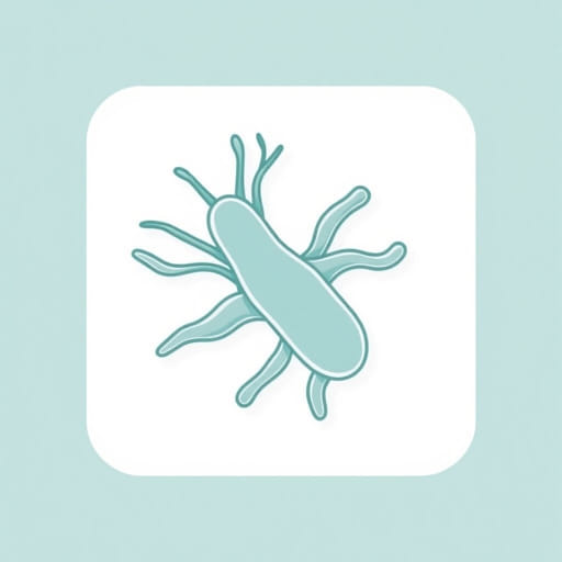 What Is Bacillus Cereus