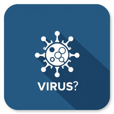 What Is Bk Virus?