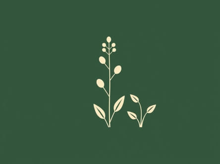 What Is The Definition Of Botanist