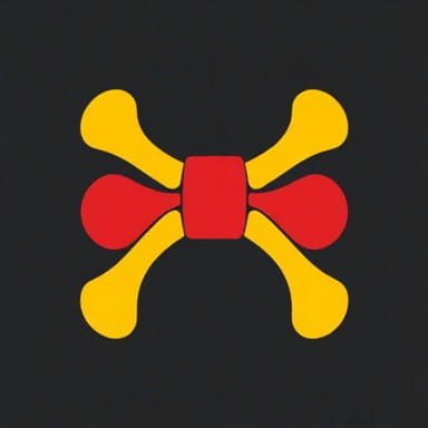 Yellow And Red Bone Marrow