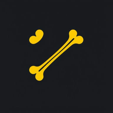 Yellow Bone Marrow Definition